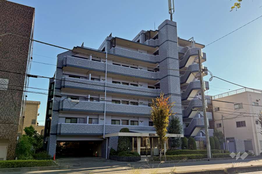 セザール東浦和の外観（北側から）