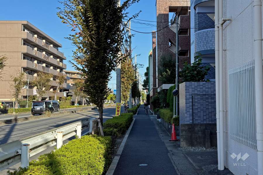 敷地北側の前面道路（西側から）