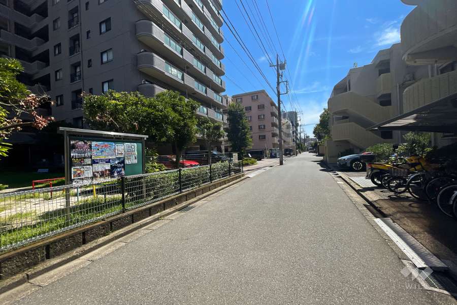 敷地南側の前面道路（西側から）