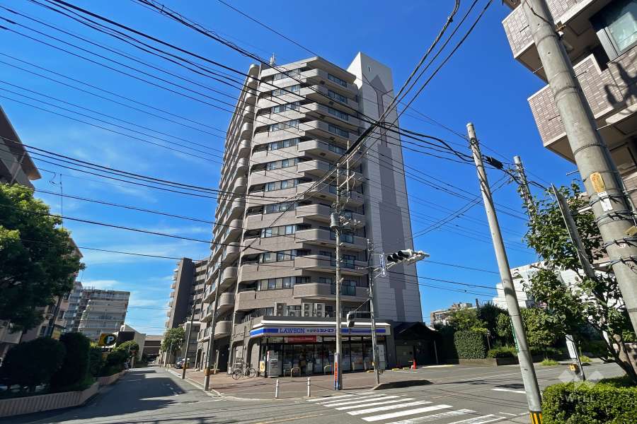 ソフィア川口ヴェルデの外観（北東側から）