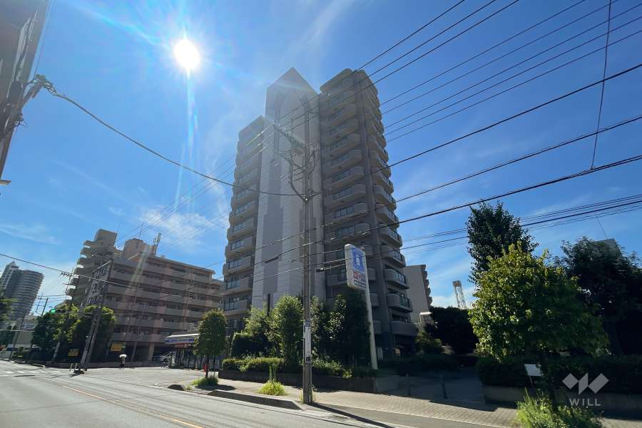 ソフィア川口ヴェルデの外観（北西側から）