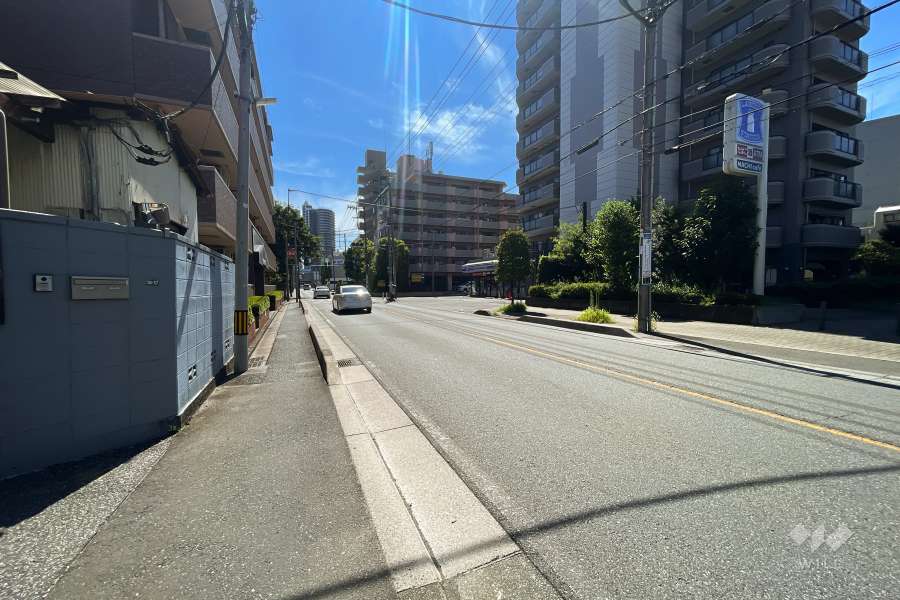 敷地北側の前面道路（西側から）