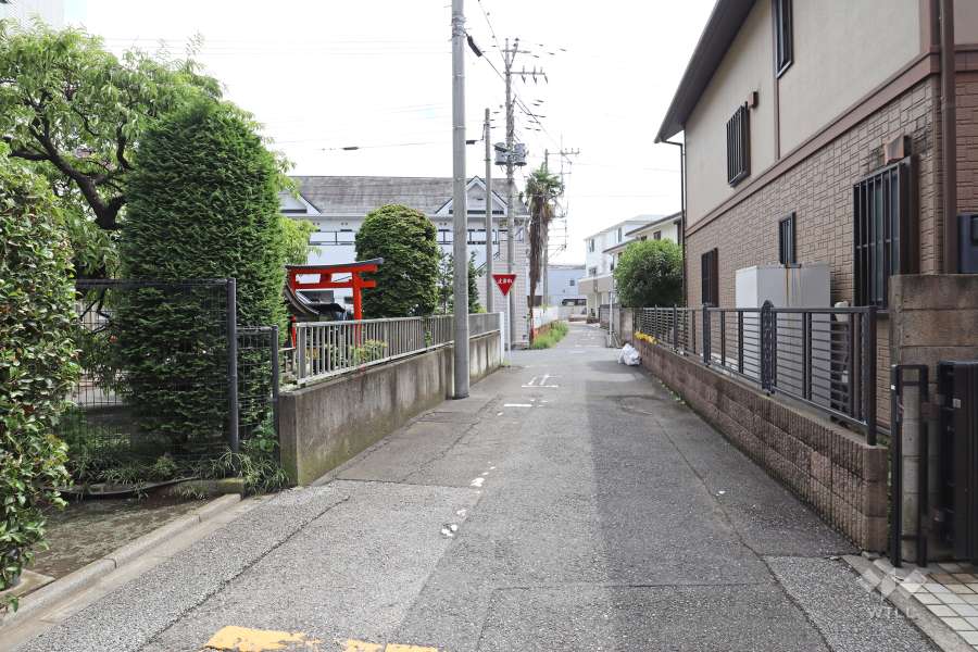 敷地南側の前面道路（西側から）