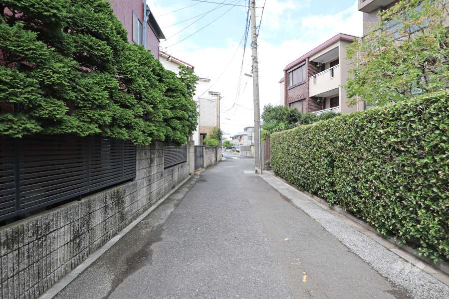 敷地南側の前面道路（東側から）