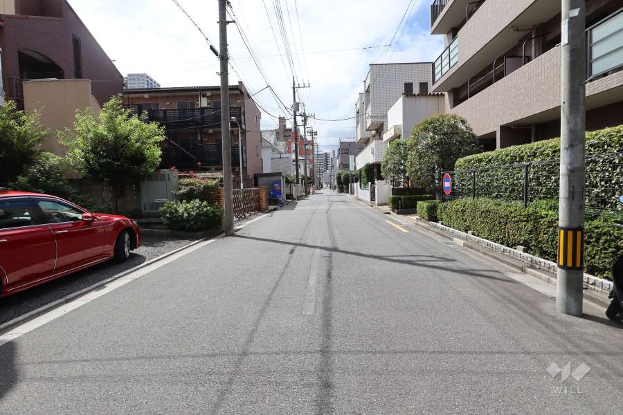 敷地東側の前面道路（北側から）