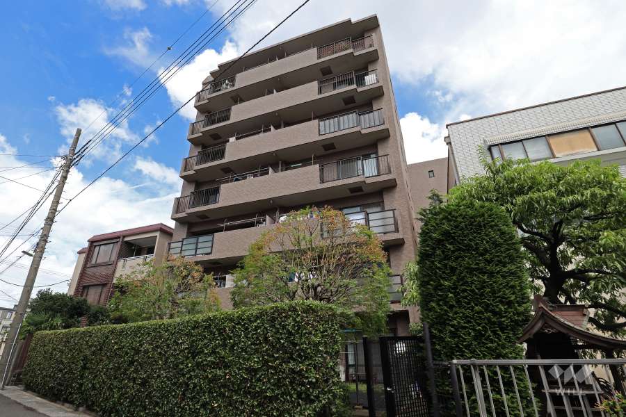 メイツ川口栄町の外観（南側から）