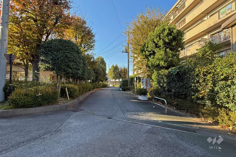 敷地南西側の前面道路（南東側から）