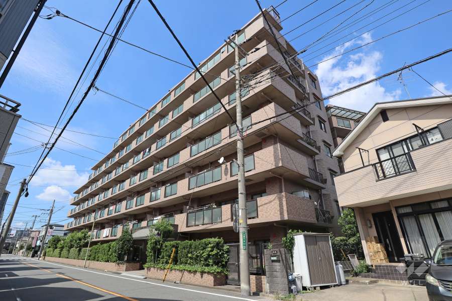 イトーピア川口元郷の外観（南側から）