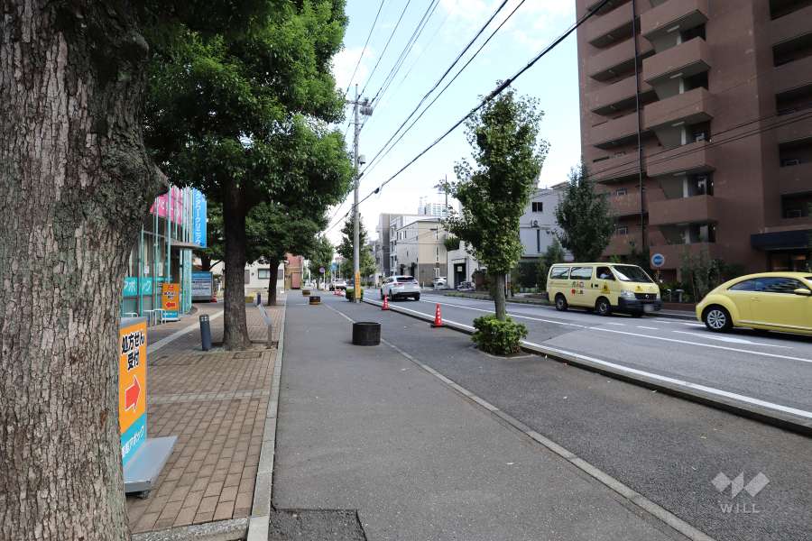 敷地南側の前面道路（西側から）