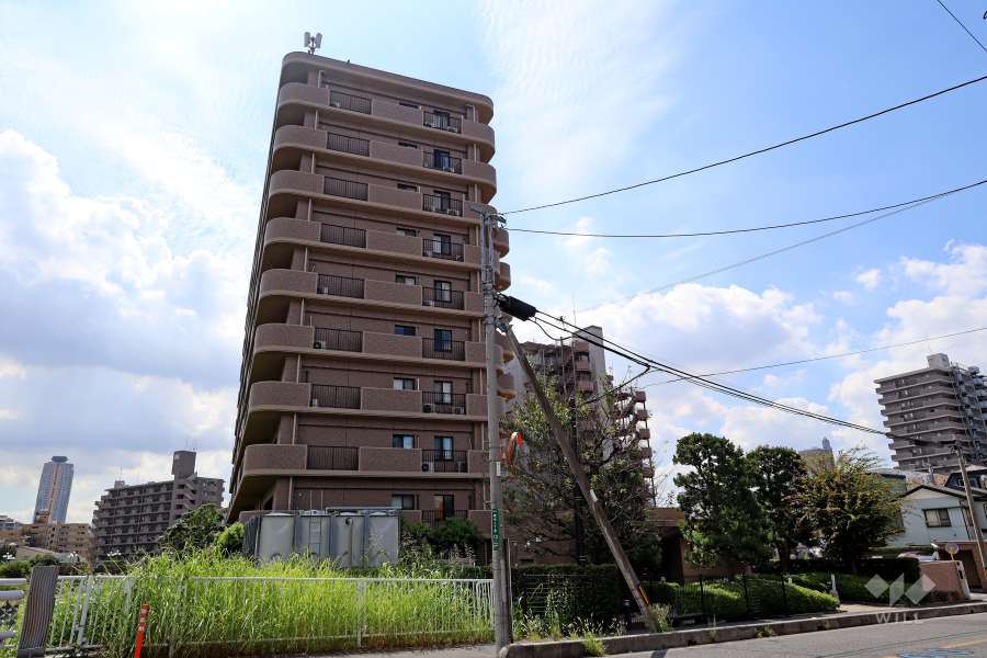 ルイシャトレ川口青木リバーパークの外観（北側から）