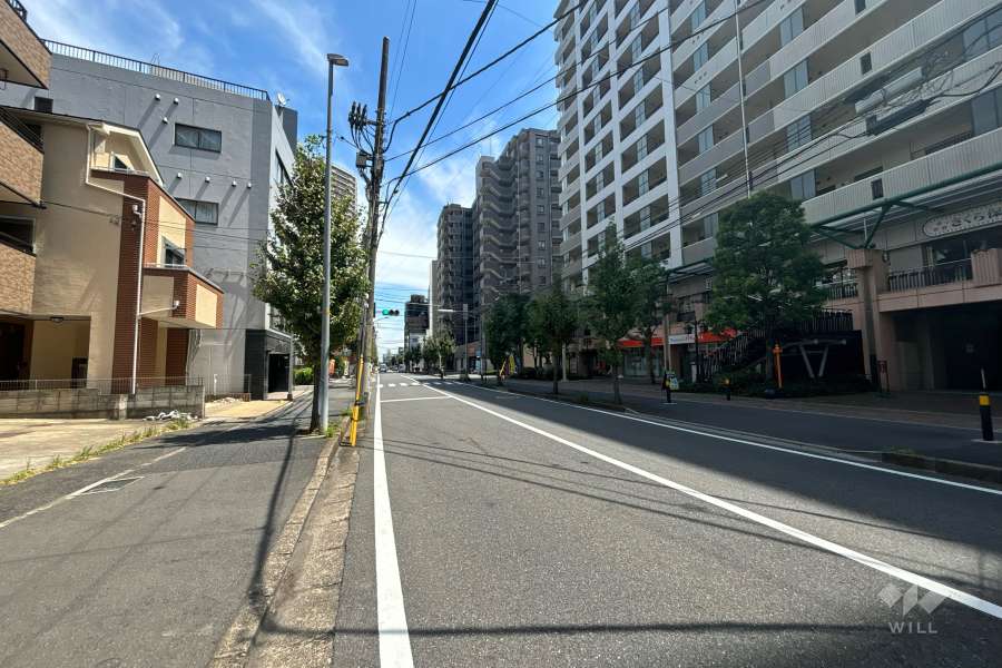 敷地北側の前面道路（西側から）