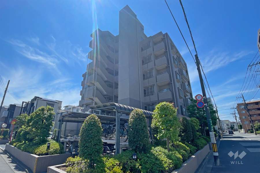 ルイシャトレ川口の外観（北西側から）