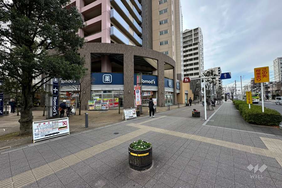 敷地北側の前面道路（東側から）