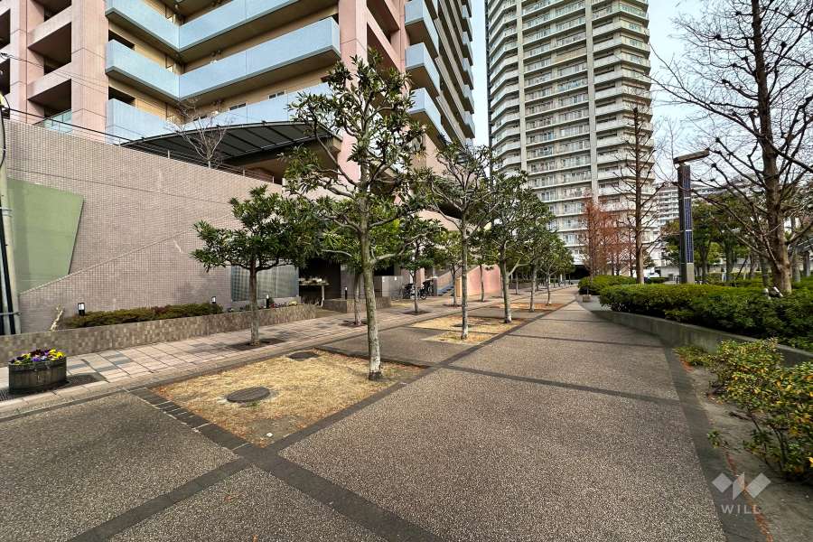 敷地南側の前面道路（西側から）