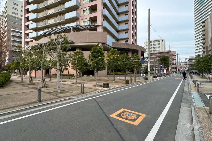 敷地東側の前面道路（南側から）