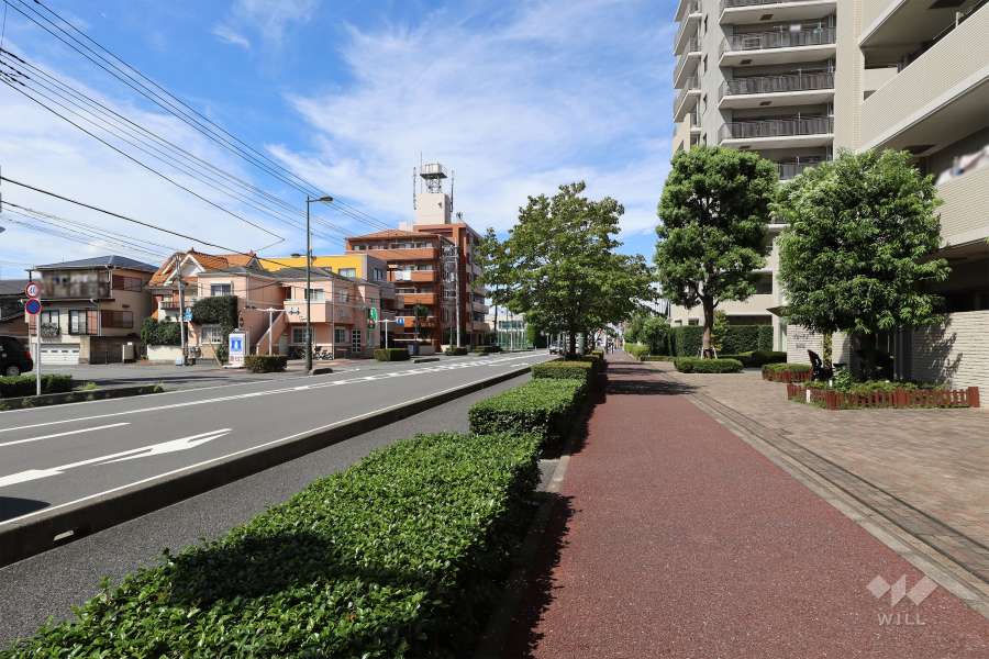 敷地西側の前面道路　