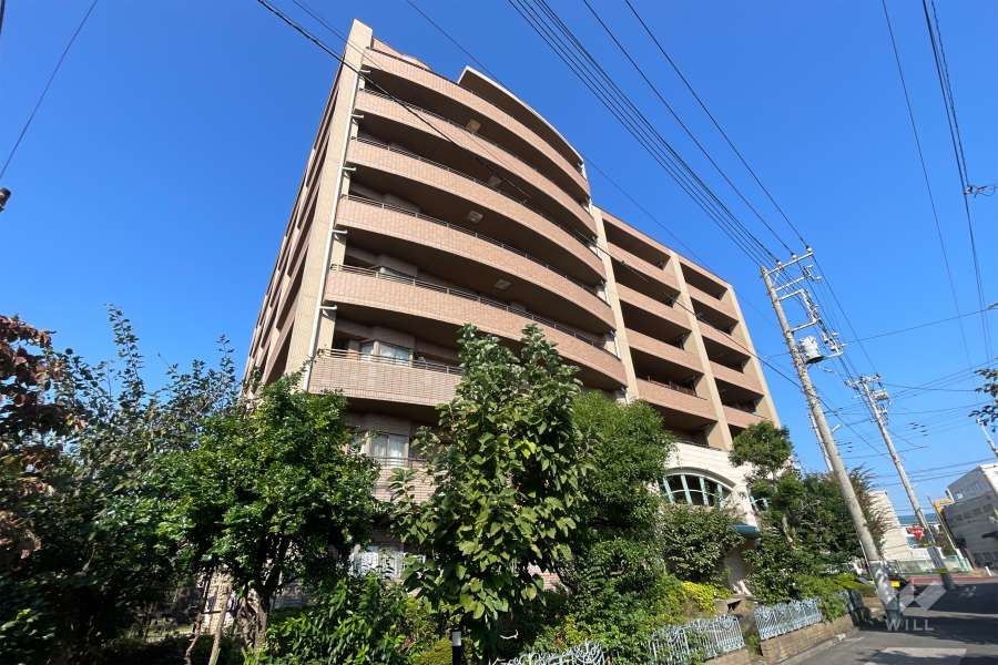 レクセルマンション西川口第３の外観（東南側から）