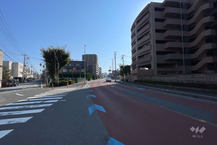 敷地の北側前面道路（西側から）