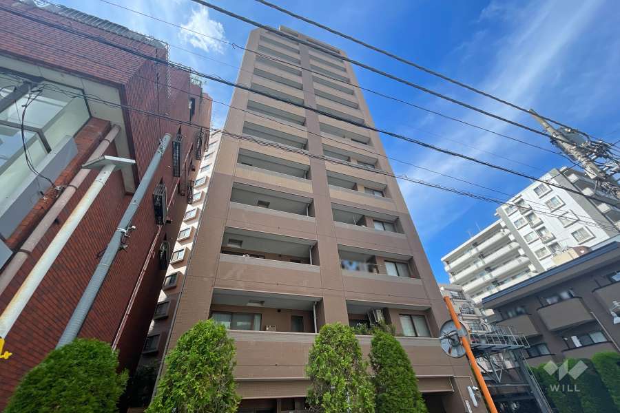 ライオンズステージ川口並木の外観（南側から）