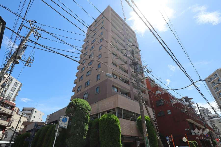 ライオンズステージ川口並木の外観（北西側から）