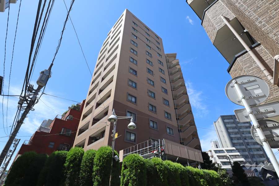 ライオンズステージ川口並木の外観（東側から）