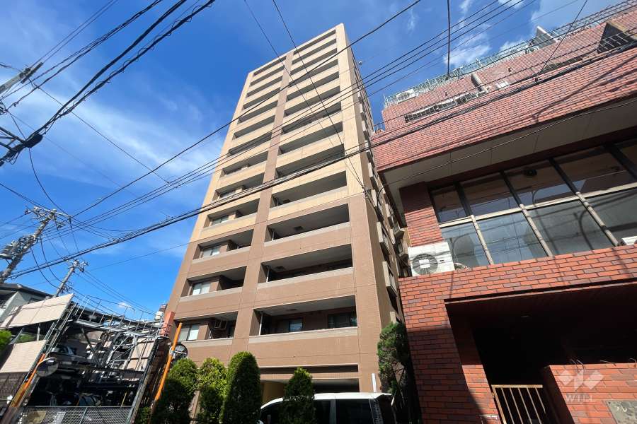 ライオンズステージ川口並木の外観（西側から）