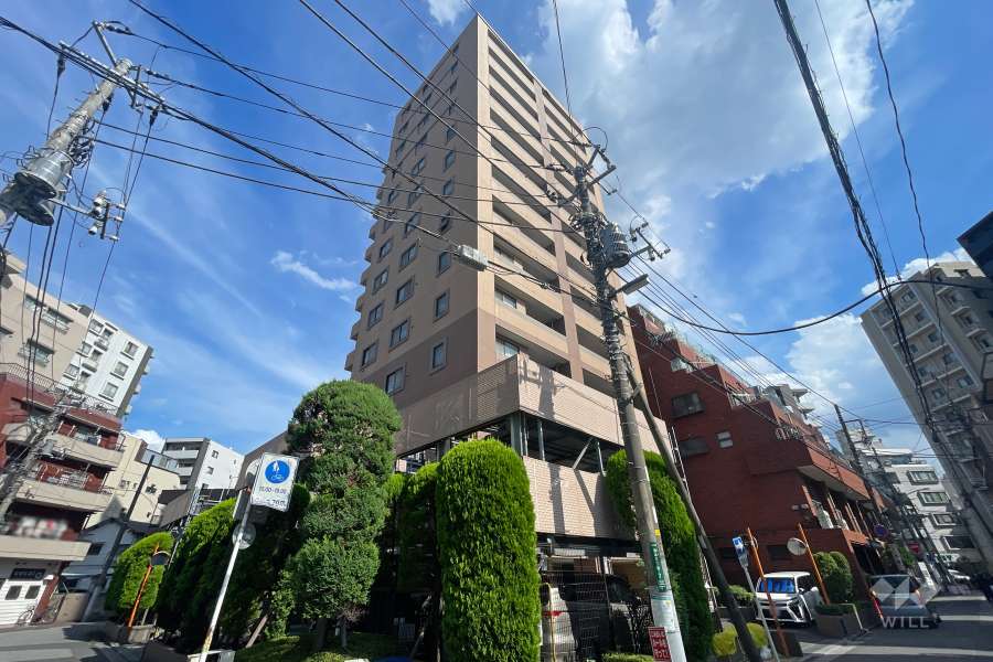 ライオンズステージ川口並木の外観（北西側から）