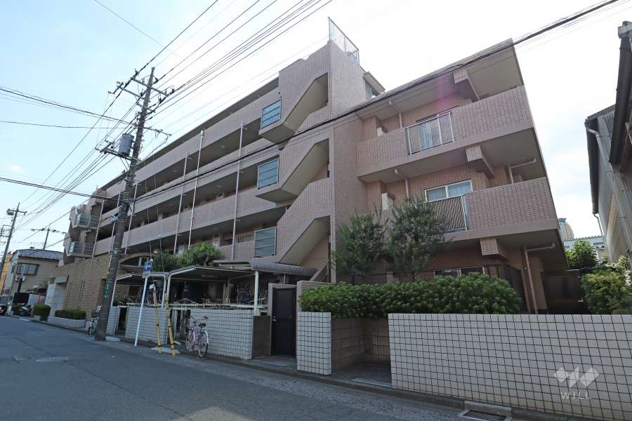 ウィズ川口新井町公園の外観（北側から）