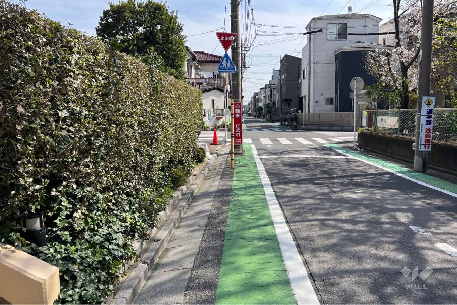 敷地の西側前面道路（北側から）