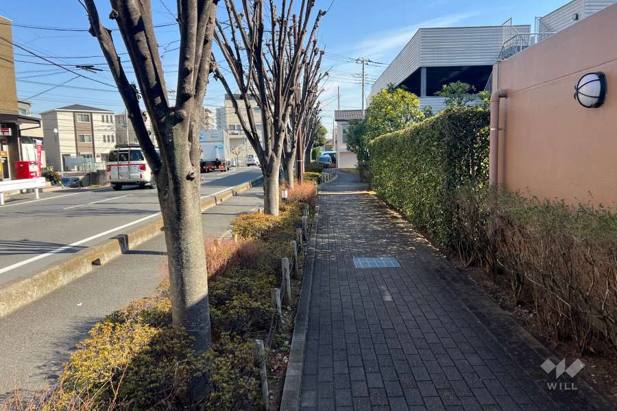 敷地北側の前面道路（西側から）