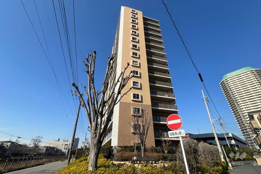 ソルシエーナ川口の外観（南東側から）