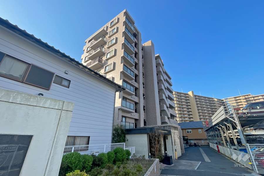 サニーコート川口元郷第2の外観（北東側から）