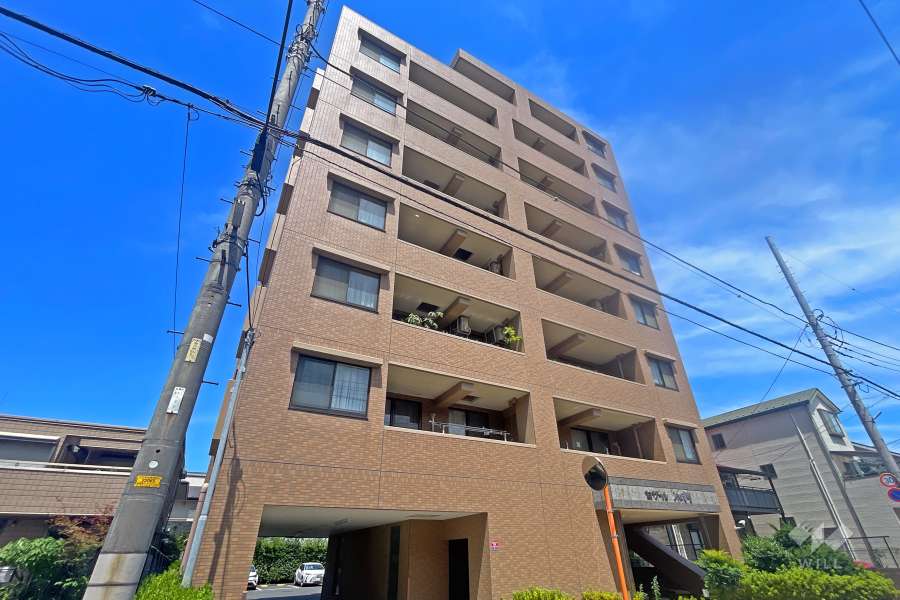 セザール川口幸町の外観（南西側から）