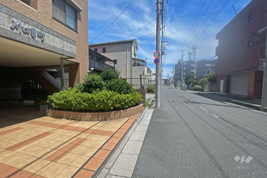 敷地の南側前面道路（西側から）