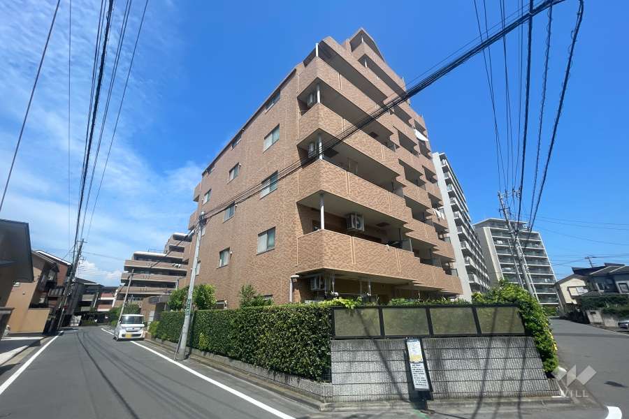 レーベンハイム川口元郷サザンテラスの外観（南西側から）