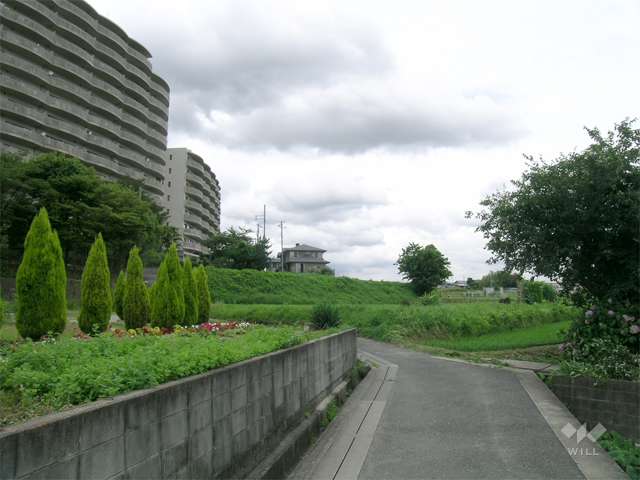 敷地の南側には田畑が広がっています。