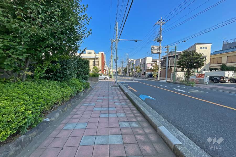 敷地の南側前面道路（西側から）
