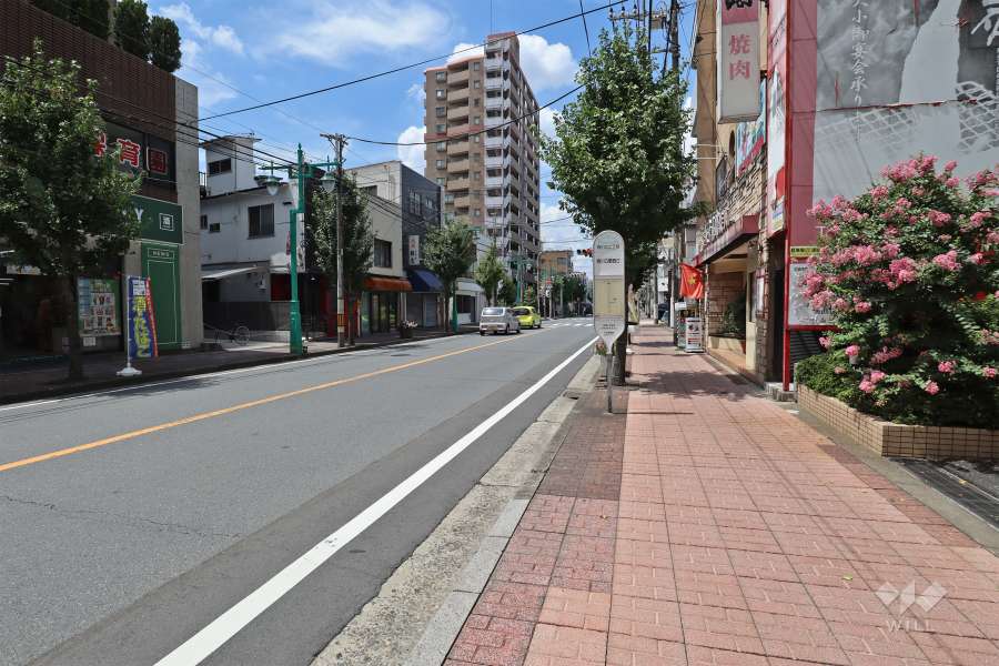敷地南側の前面道路（東側から）