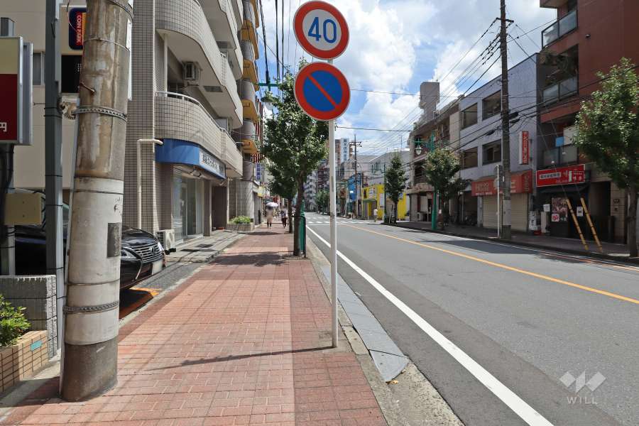 敷地南側の前面道路（西側から）