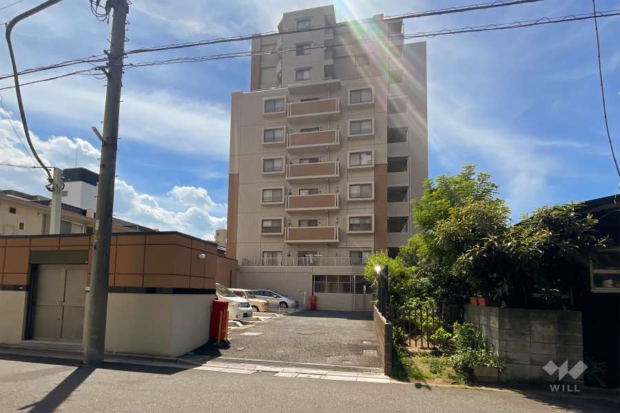 ダイアパレス川口並木の外観（北東側から）