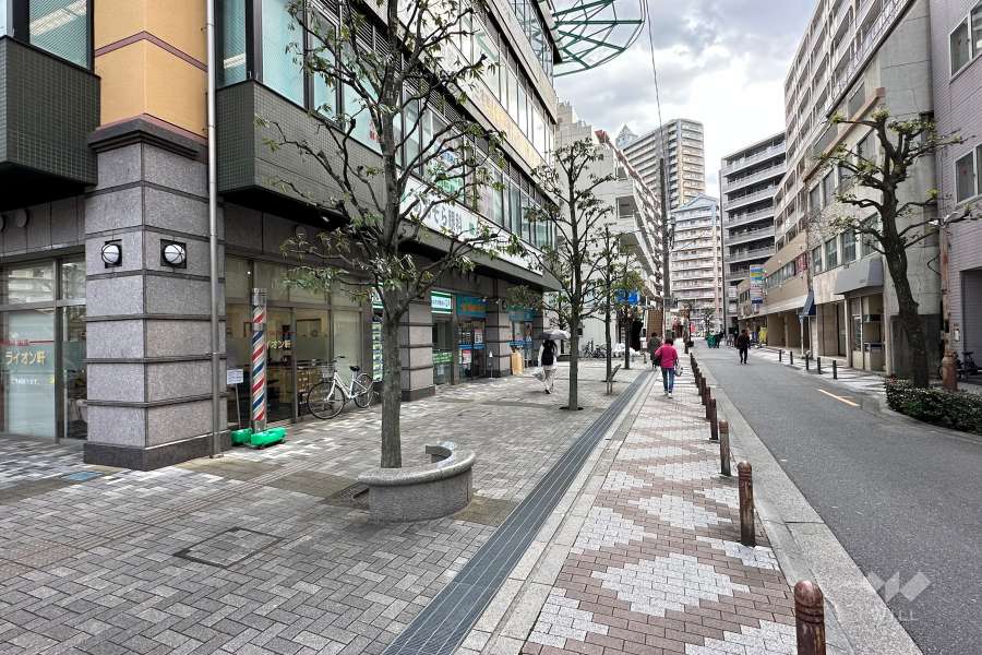 敷地の西側前面道路（北側から）