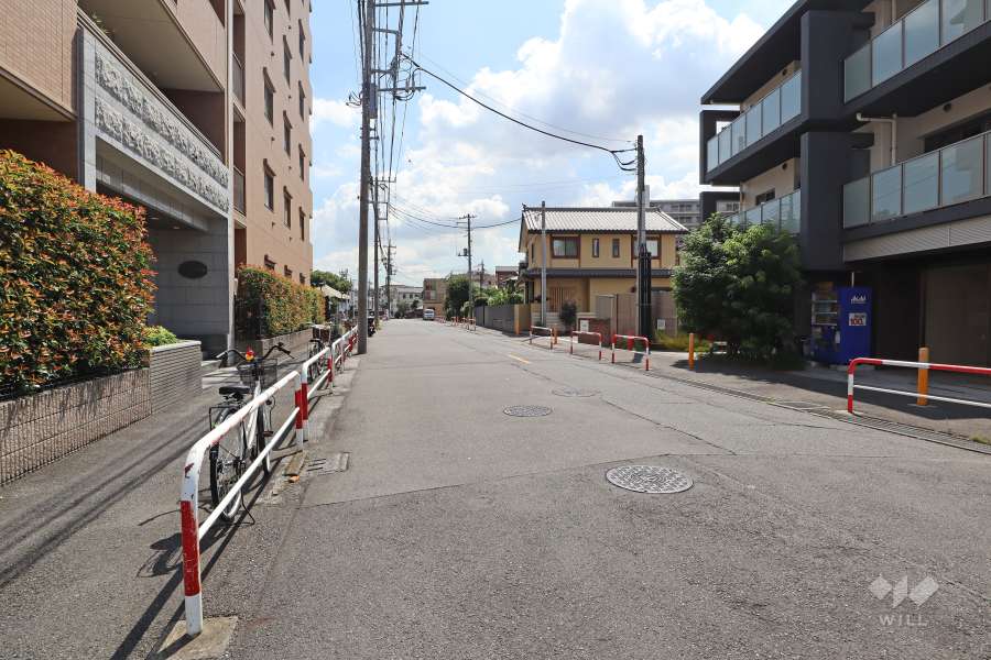 敷地西側の前面道路（北側から）