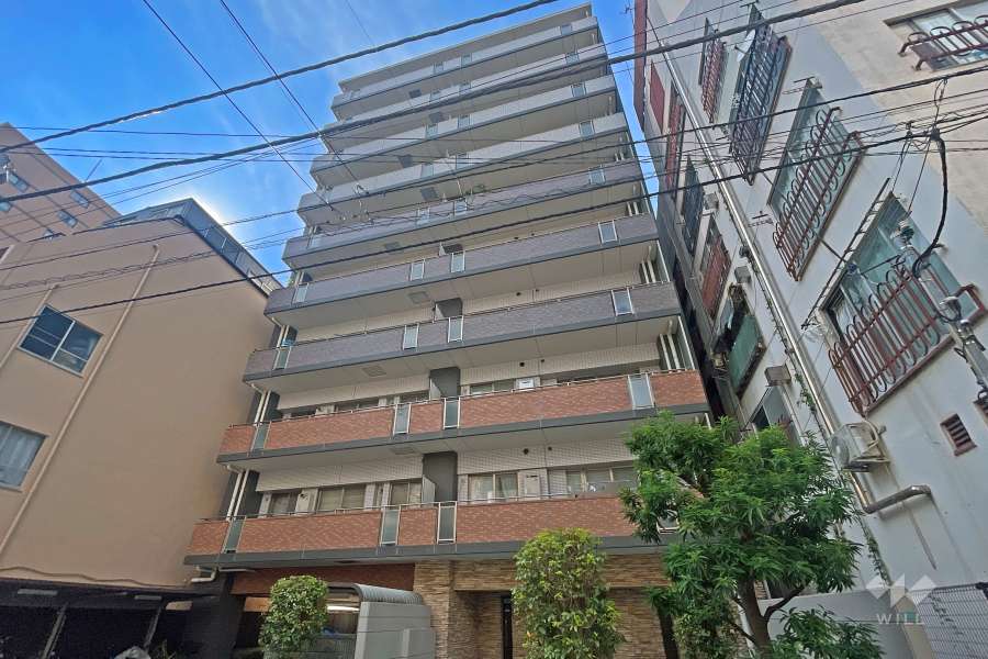 サンデュエル川口並木の外観（北東側から）