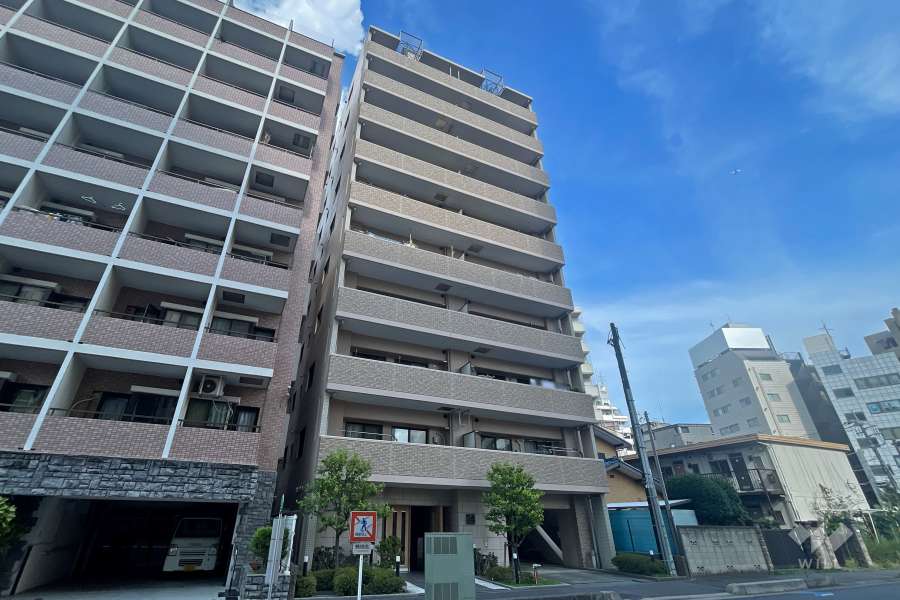 カテリーナ川口並木の外観（西側から）　