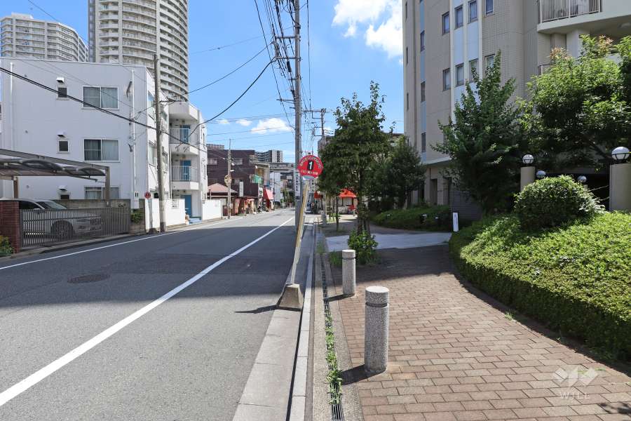敷地の北側前面道路（西側から）