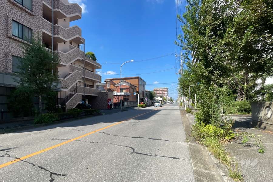 敷地の東側前面道路（南側から）