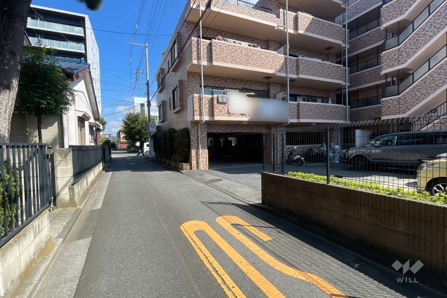 敷地の西側前面道路（南側から）