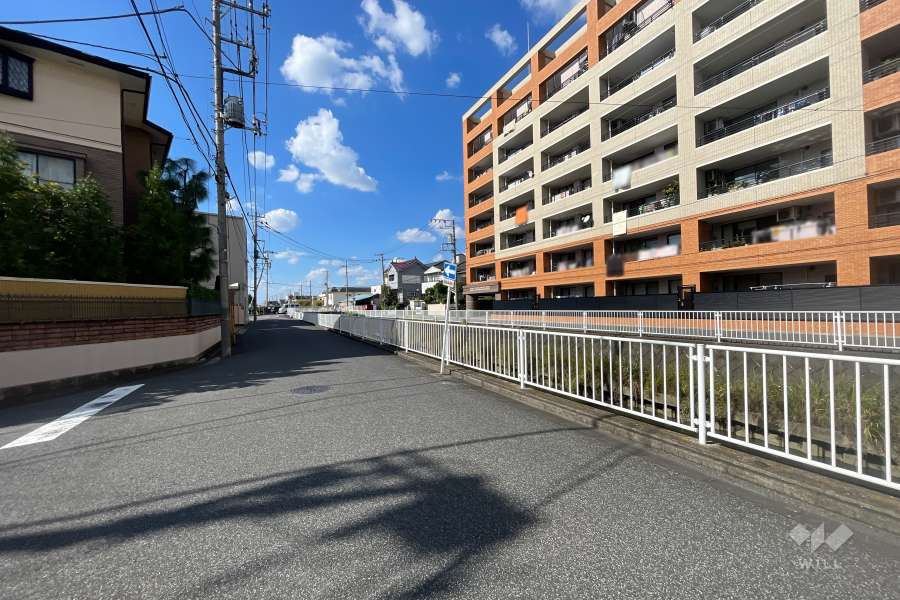 敷地南西側の前面道路（南東側から）