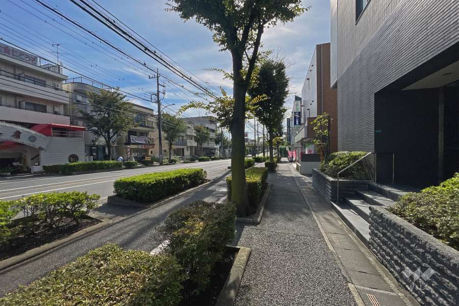 敷地の東側前面道路は、けやき通りです（北側から）。