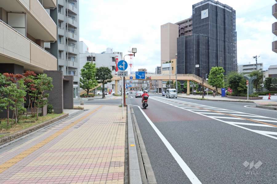 敷地南西側の前面道路（北西側から）